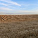 Aon disponibiliza solução inédita ESG no Brasil para viabilizar a captação de Títulos Verdes do agronegócio