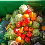 Brasil é o 10º país que mais desperdiça alimentos no mundo