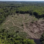 Crise entre Brasil e EUA? Biden anuncia plano de US$ 500 milhões para o Fundo Amazônia
