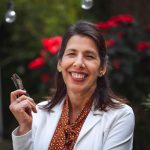Os impactos dos líderes que valorizam a diversidade – Por: Denise Asnis, sócia fundadora da Taqe