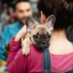 Nestlé Purina seleciona startup brasileira para seu programa de inovação no setor pet