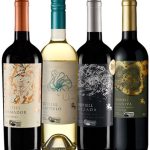 APAS 2025: Com seleção especial para as gôndolas brasileiras, vinícola chilena apresenta vinhos orgânicos inspirados no mar